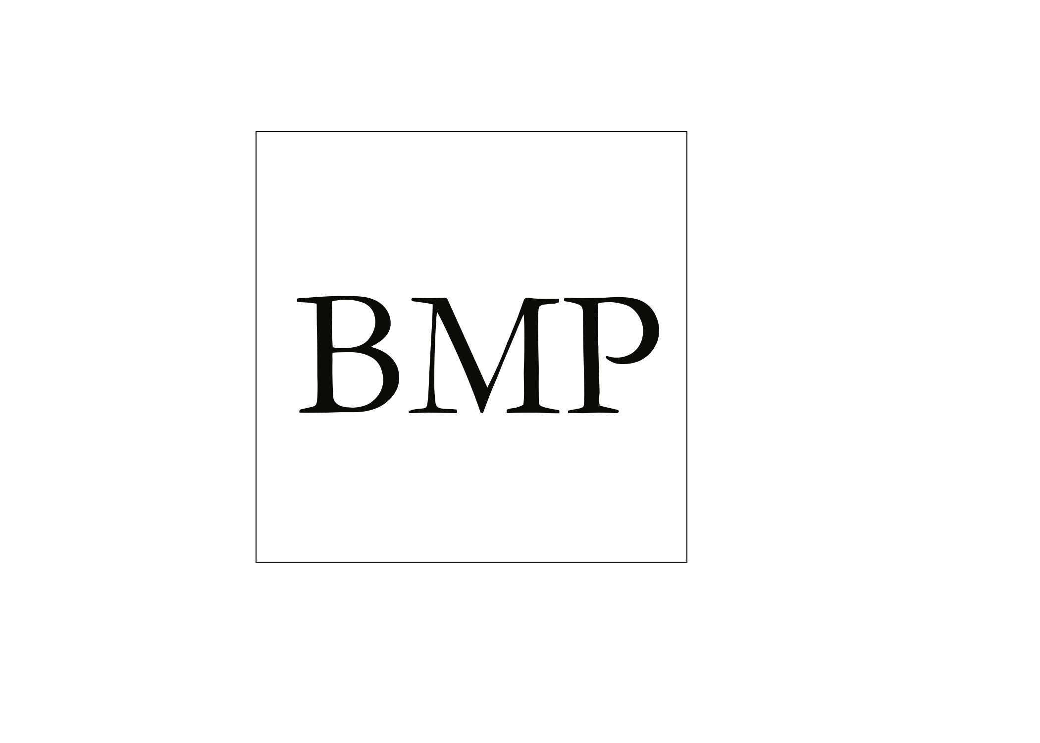 BMPlogo